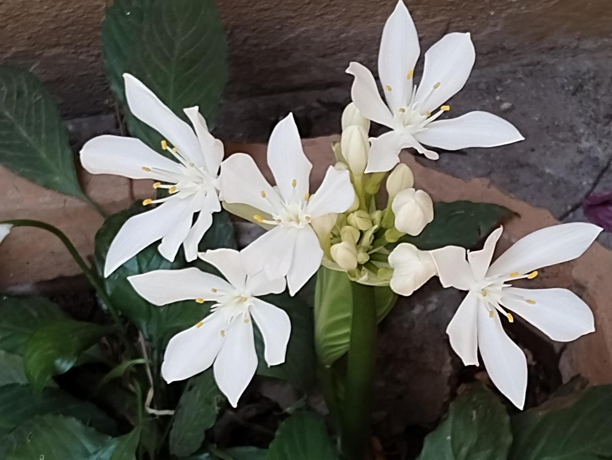 Madhav Bhavan Guest House Pune Luaran gambar