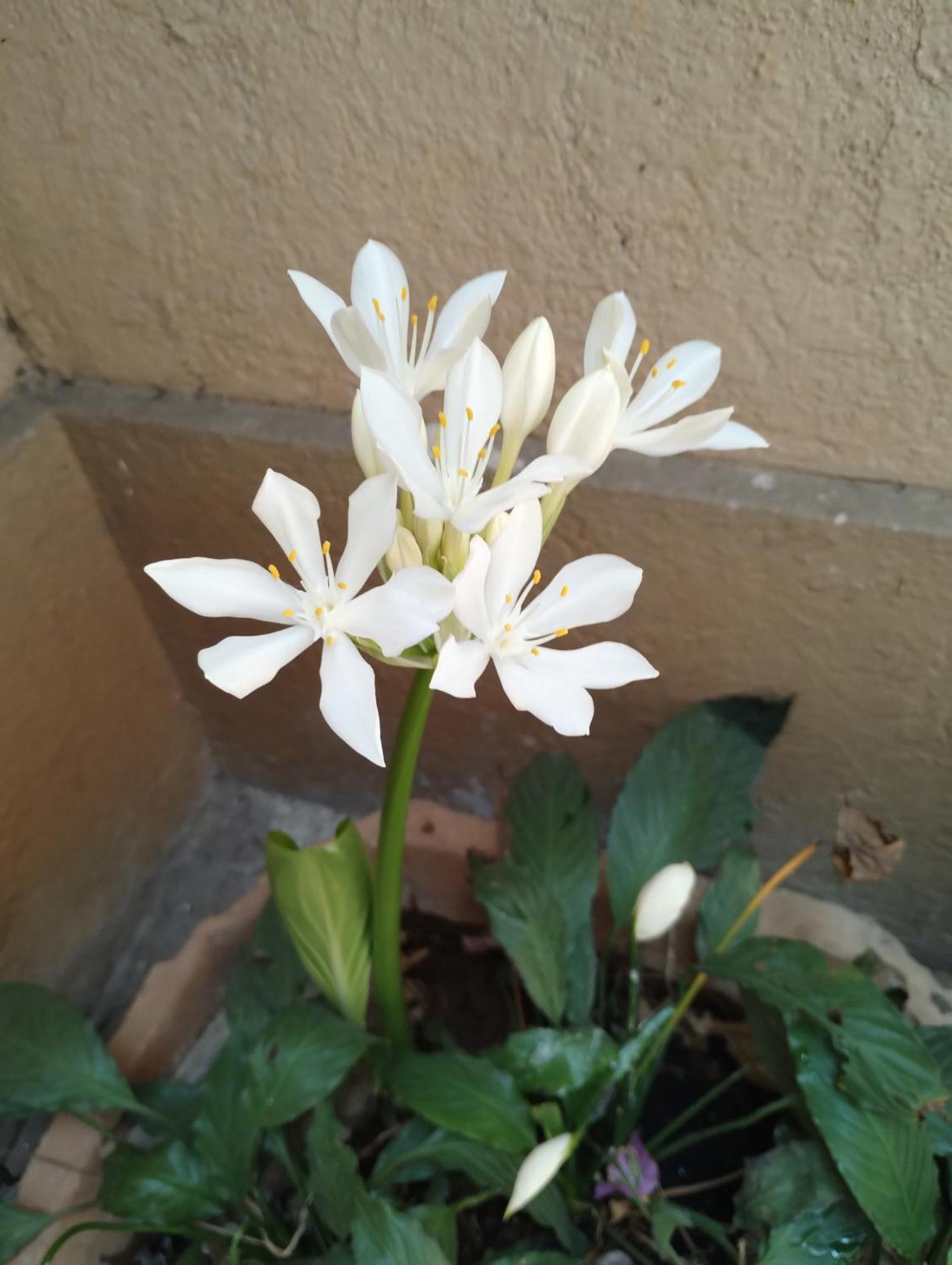 Madhav Bhavan Guest House Pune Luaran gambar